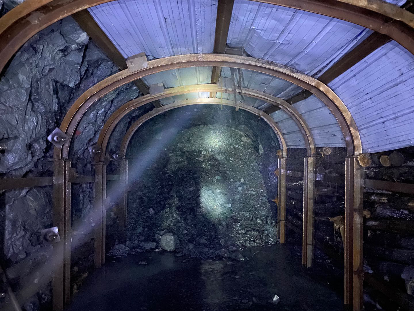 ½ñÄê»á | ¹Ù·½ÍøÕ¾