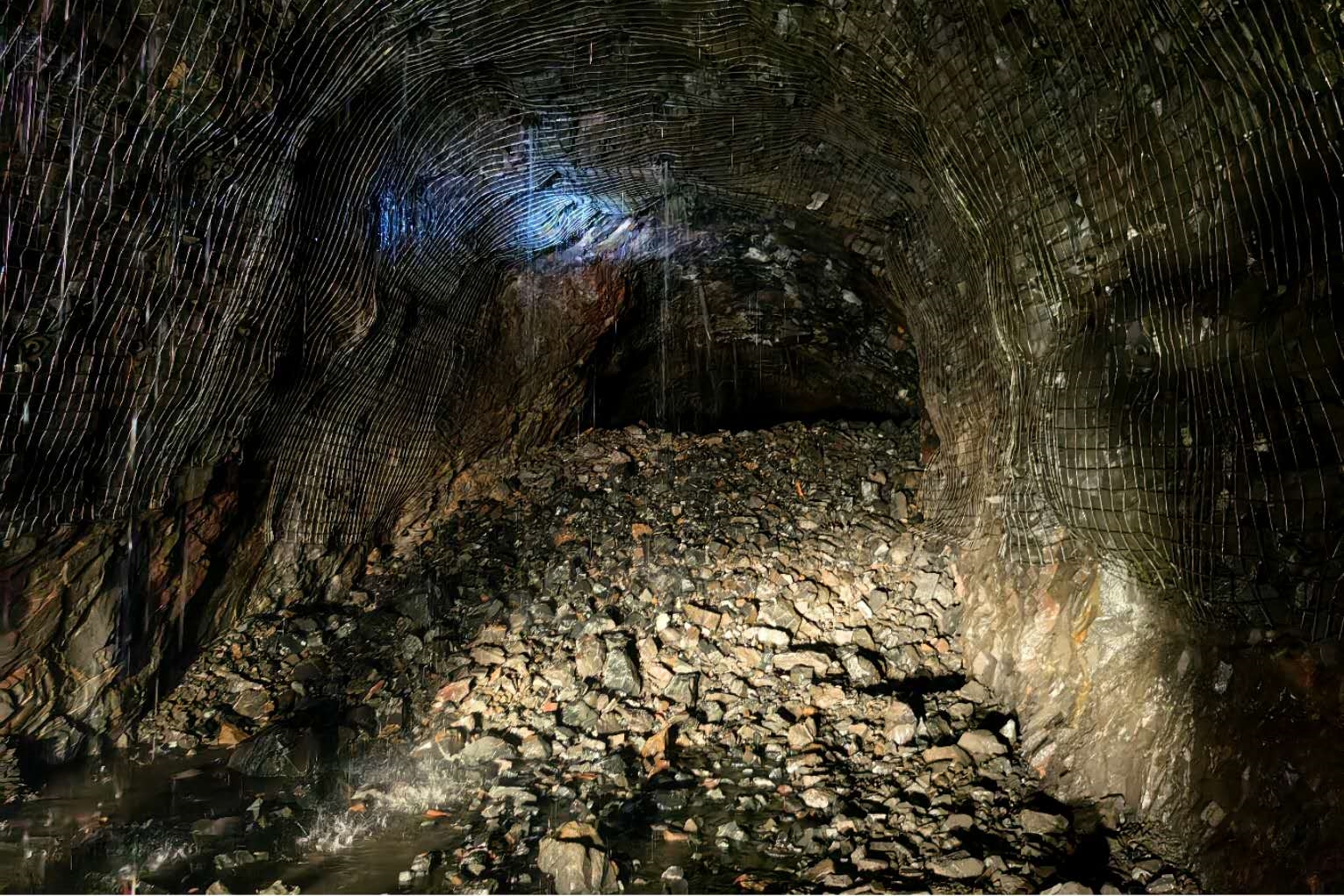 ½ñÄê»á | ¹Ù·½ÍøÕ¾